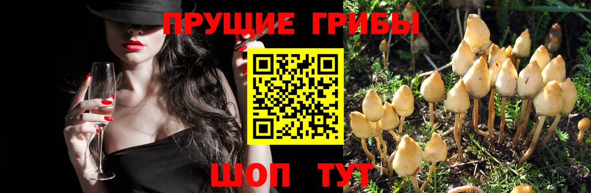 Псилоцибиновые грибы MAGIC MUSHROOMS Чапаевск